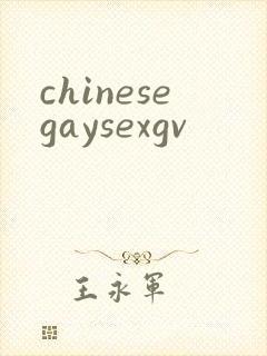 chinesegaysexgv