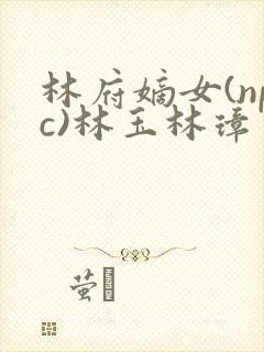 林府嫡女(npc)林玉林璋