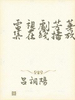 电视剧芳华40集在线播放免费观看封面