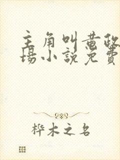 主角叫黄政的官场小说免费阅读