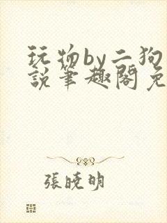 玩物by二狗小说笔趣阁免费阅读封面