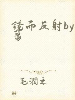 镜面反射by九葛