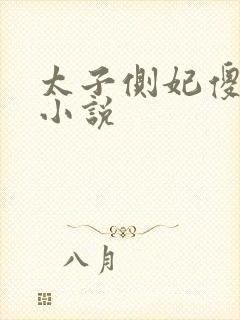 太子侧妃傻乎乎小说