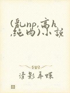 (乱np,高h,纯肉)小说