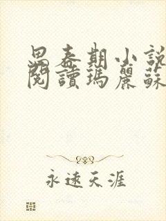 思春期小说免费阅读玛丽苏消亡史封面