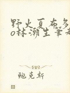 野火夏布多昂po林潮生笔趣阁
