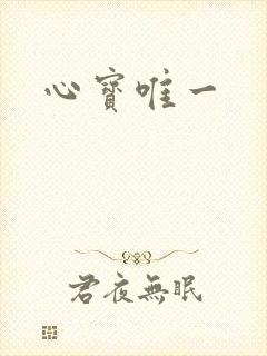 心宝唯一