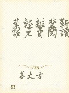 叶轻离裴靳墨小说免费阅读无弹窗