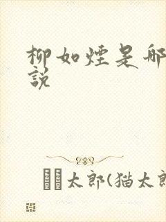 柳如烟是哪部小说