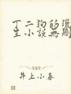 丁二狗的猎艳人生小说无删减小说