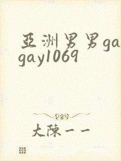 亚洲男男gaygay1069封面