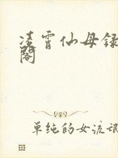 凌霄仙母录笔趣阁封面