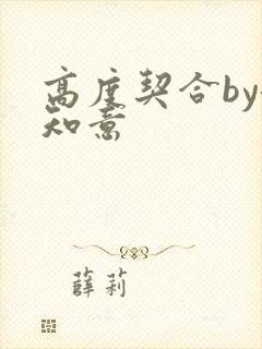 高度契合by洛知意封面