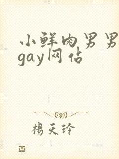 小鲜肉男男同性gay网站
