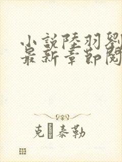 小说陆羽刘云峰最新章节阅读