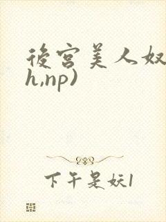 后宫美人奴(高h,np)