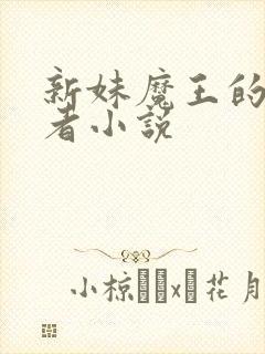 新妹魔王的契约者小说