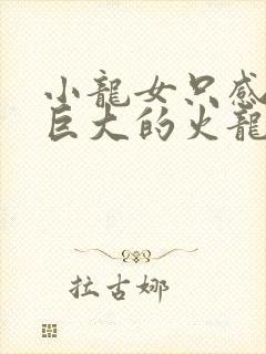 小龙女只感觉那巨大的火龙枪封面