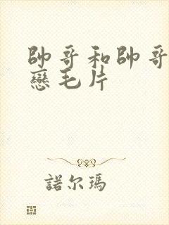 帅哥和帅哥同性恋毛片