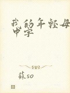 我的年轻母亲4中字封面