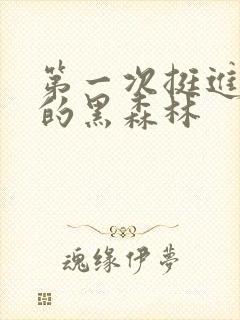 第一次挺进麻麻的黑森林封面