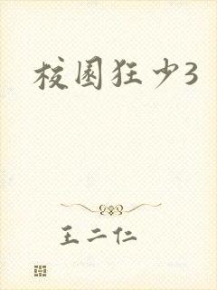 校园狂少3封面