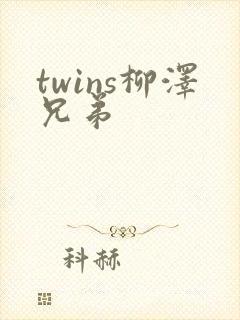 twins柳泽兄弟封面