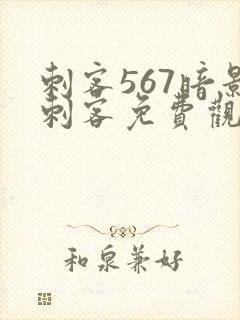 刺客567暗影刺客免费观看