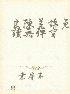 良陈美锦免费阅读无弹窗封面