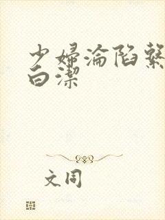 少妇沦陷系列之白洁封面