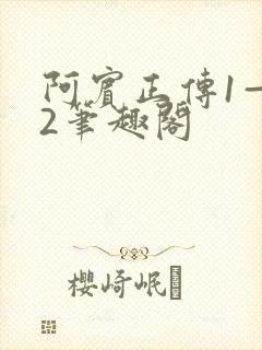 阿宾正传1—72笔趣阁