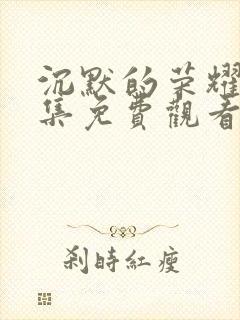 沉默的荣耀40集免费观看全集高清版