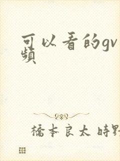 可以看的gv视频
