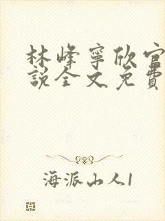 林峰宁欣官场小说全文免费阅读