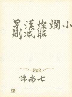 星汉灿烂小说无删减版