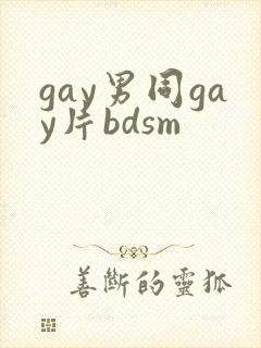 gay男同gay片bdsm封面
