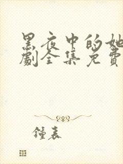 黑夜中的她电视剧全集免费观看