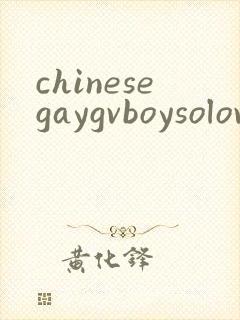 chinesegaygvboysolovideo