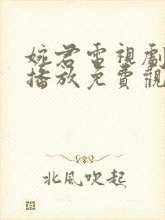 婉君电视剧全集播放免费观看高清封面