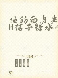 他的白月光HVH桔子糖水全文封面