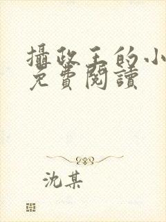 摄政王的小闲妻免费阅读封面