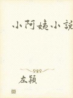 小阿姨小说