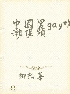 中国男gay吹潮视频封面