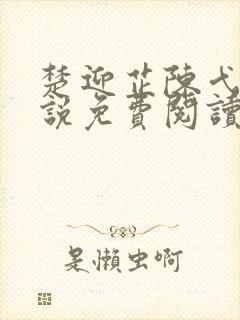 楚迎芷陈弋泽小说免费阅读全文无弹窗