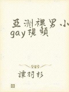 亚洲裸男小鲜肉gay视频