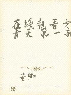 在线观看少年包青天 第一部