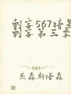刺客567暗影刺客第三季