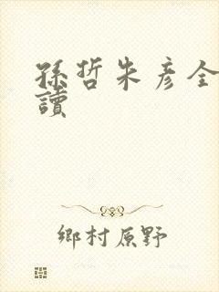 孙哲朱彦全文阅读