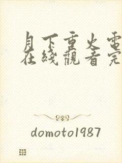 月下重火电视剧在线观看完整版免费封面