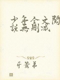 少年全文阅读小说无删减